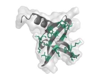 Affinity Ligands